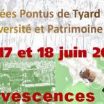 Effervescences – Château Pontus de Tyard