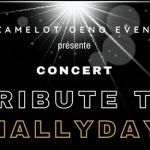 Tribute to Hallyday – Concert Rully