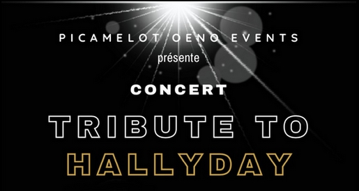 Tribute to Hallyday - Concert Chalon sur Saône