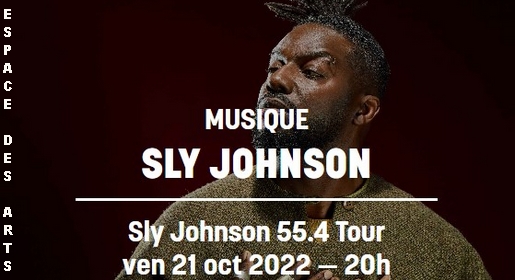 Sly Johnson - Concert Espace des Arts