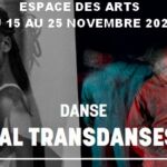 Festival Transdanses – Espace des Arts Chalon sur Saône