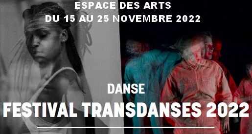 Transdanses - Festival Danse Chalon sur Saône
