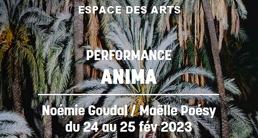 Anima - Spectacle Chalon sur Saône