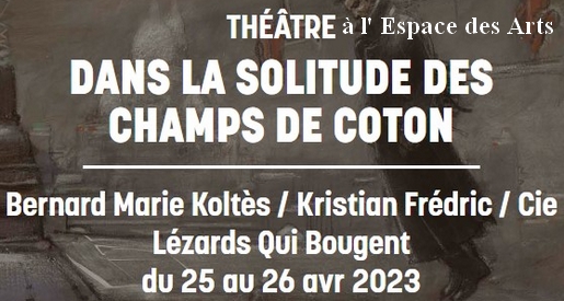 Dans la solitude des champs de coton - Théâtre Chalon sur Saône