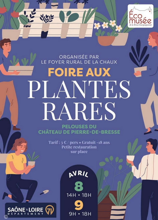 Foire aux plantes rares - Château Pierre de Bresse en Saône et Loire