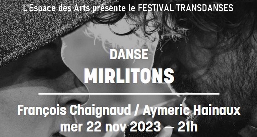 Mirlitons - Festival Transdanses 2023 à l'Espace des Arts de Chalon sur Saône