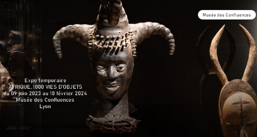 Afrique, 1000 vies d'objets - Musée Confluences Lyon