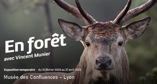 En Forêt - Exposition au Musée des Confluences à Lyon