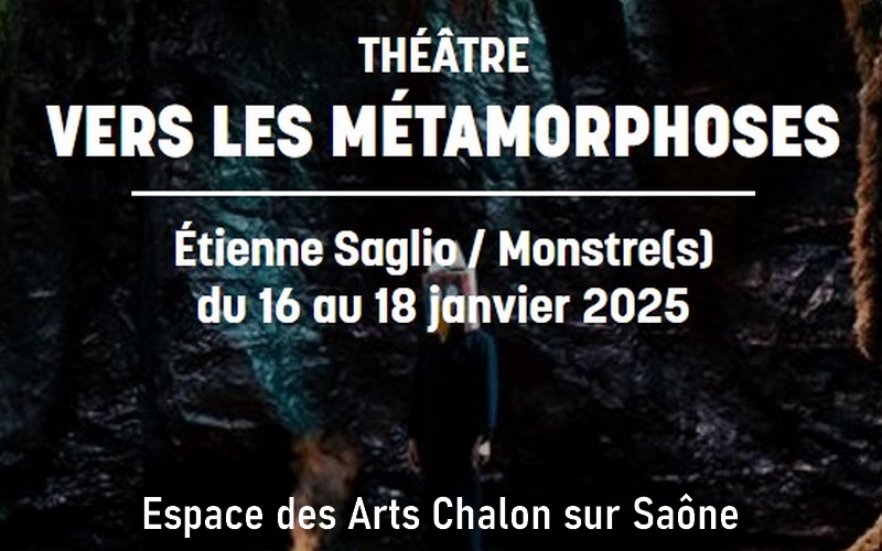 Vers les métamorphoses - Espace des Arts Chalon sur Saône