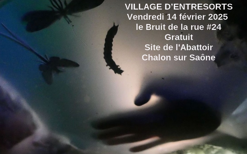 Village d’entresorts - Spectacles Chalon sur Saône