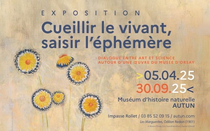 Cueillir le vivant, saisir l'éphémère - Exposition au muséum d'histoire naturelle d'Autun