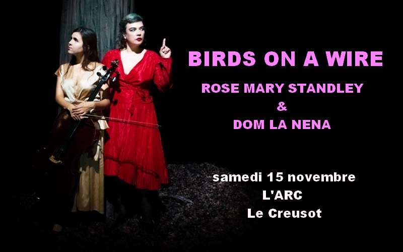 Birds on a wire - Concert de Rose Marie Standley et Dom La Nena à L'Arc Le Creusot